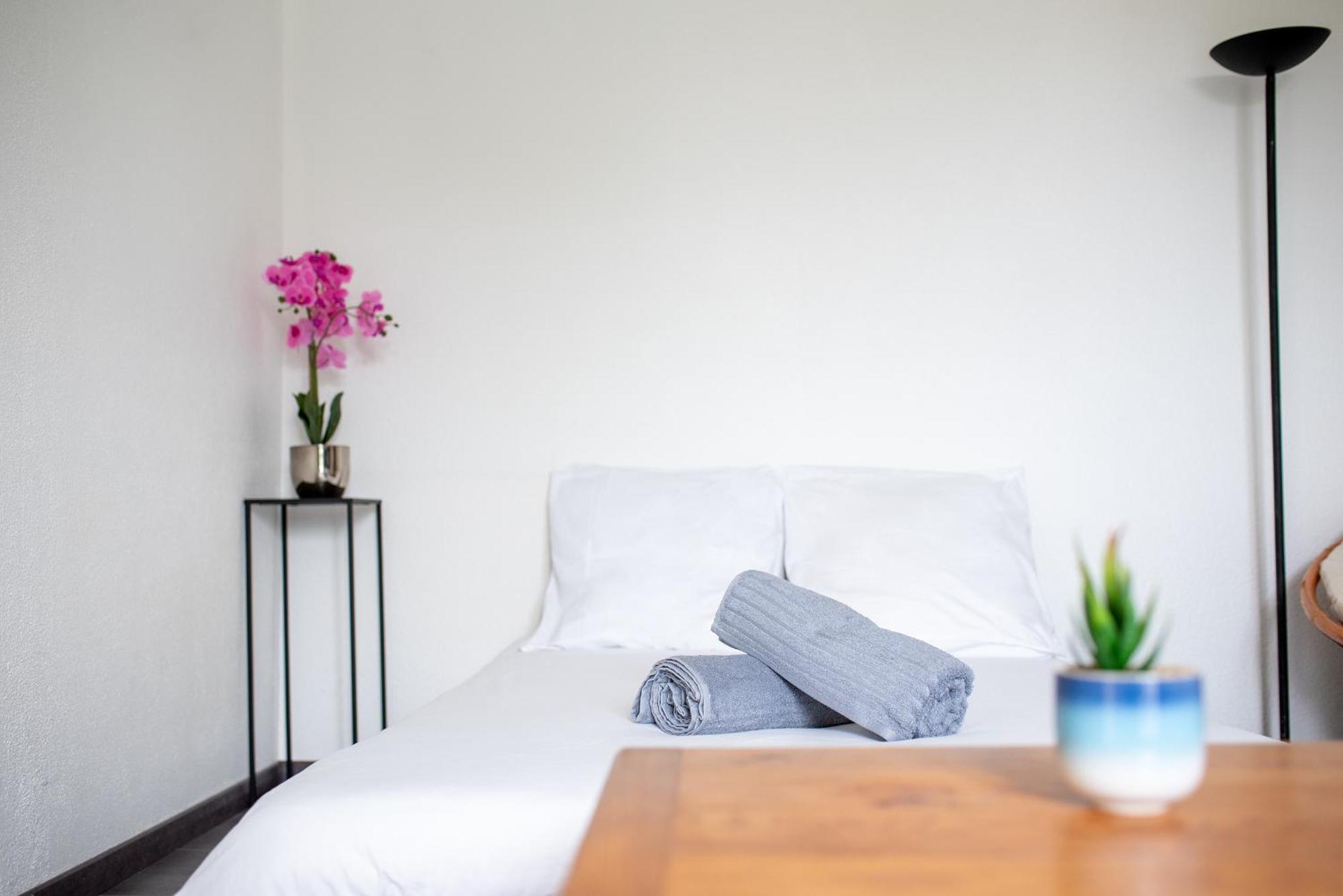 Апартаменты T2 Rangueil - Terrasse + 2 Parkings - 4 Personnes Тулуза Экстерьер фото